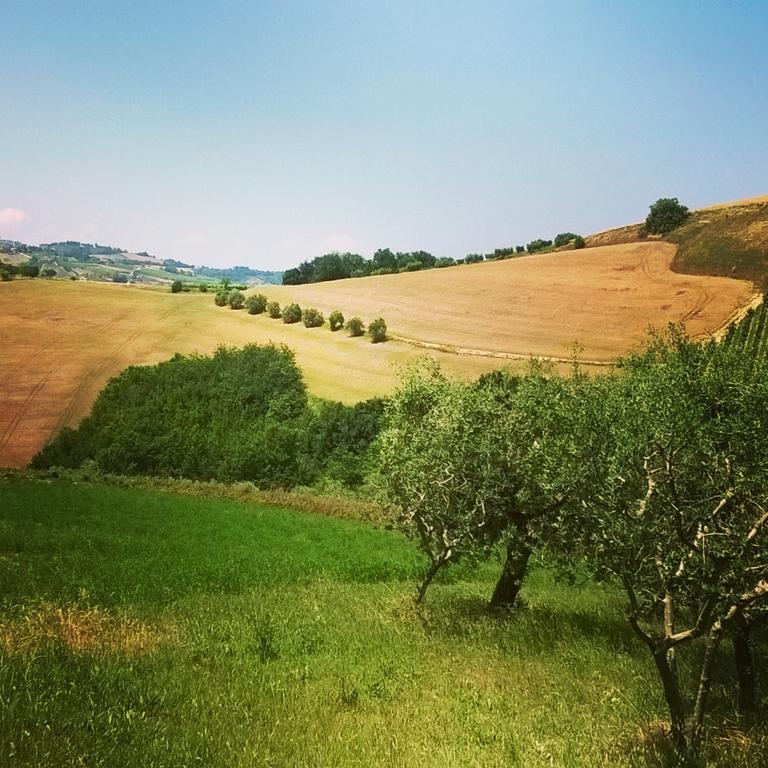 Guesthouse Casale Borgo Miriam Offida Ruang foto